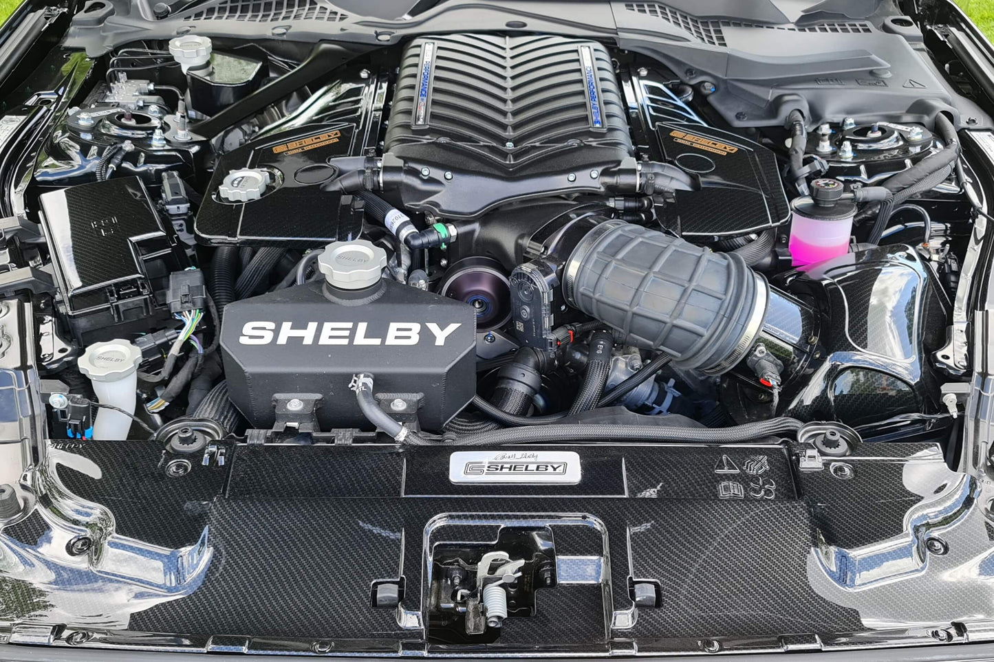 Shelby Lottery 2023