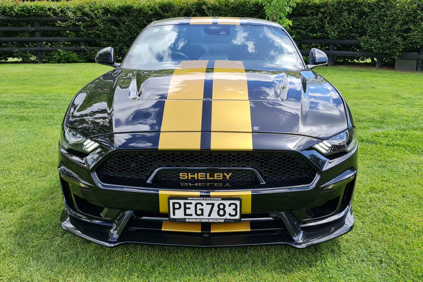 Shelby Lottery 2023