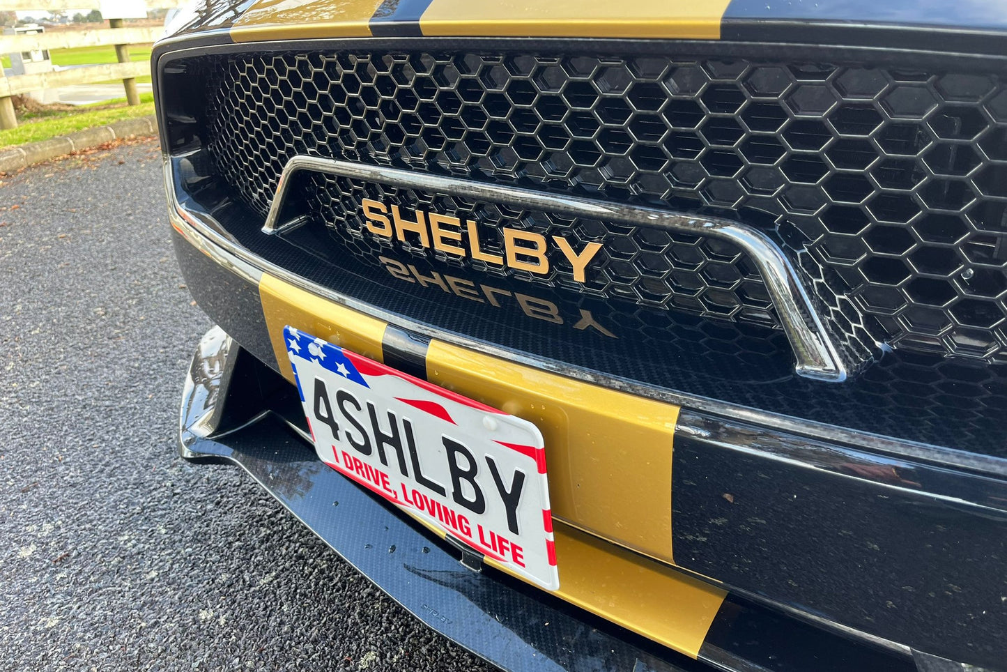 Shelby Lottery 2023