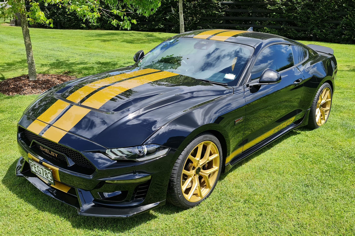 Shelby Lottery 2023
