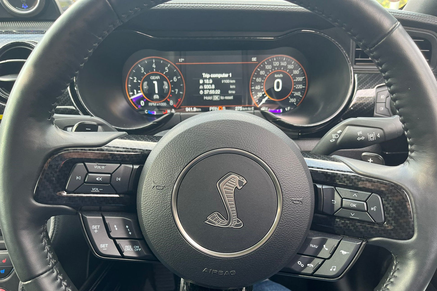 Shelby Lottery 2023