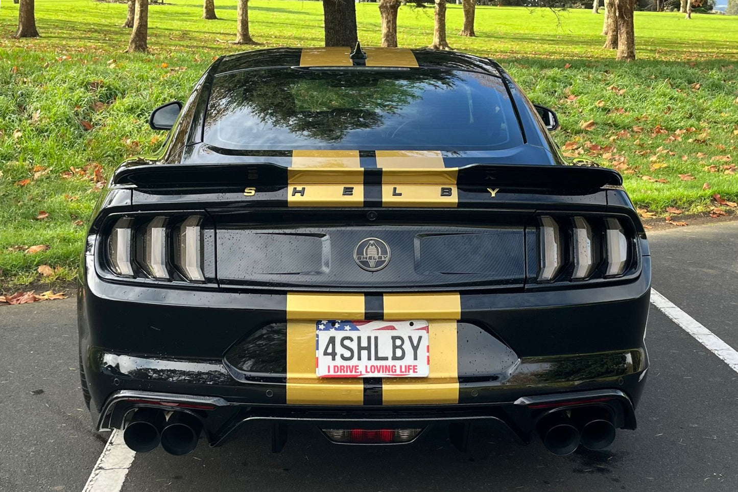 Shelby Lottery 2023
