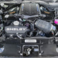 Shelby Lottery 2023