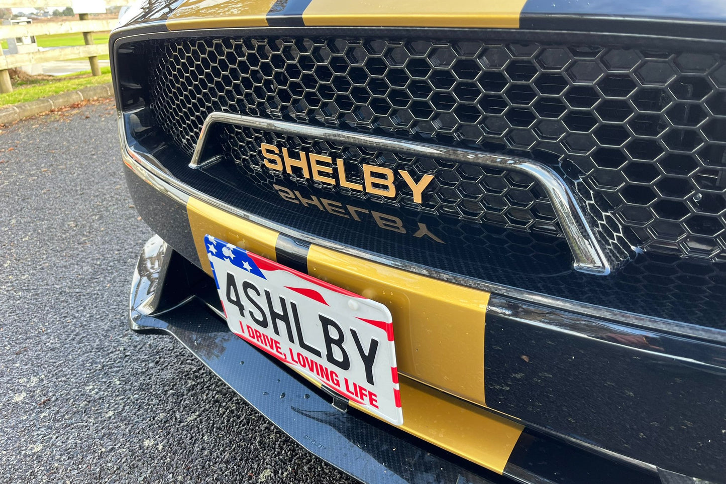 Shelby Lottery 2023